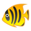 :tropical_fish: